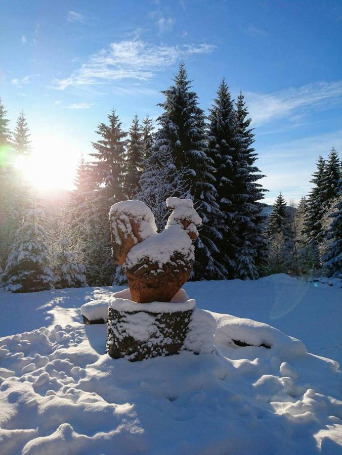 Horska Bouda U Kokrhace Hotel Dolni Mala Upa Exterior photo