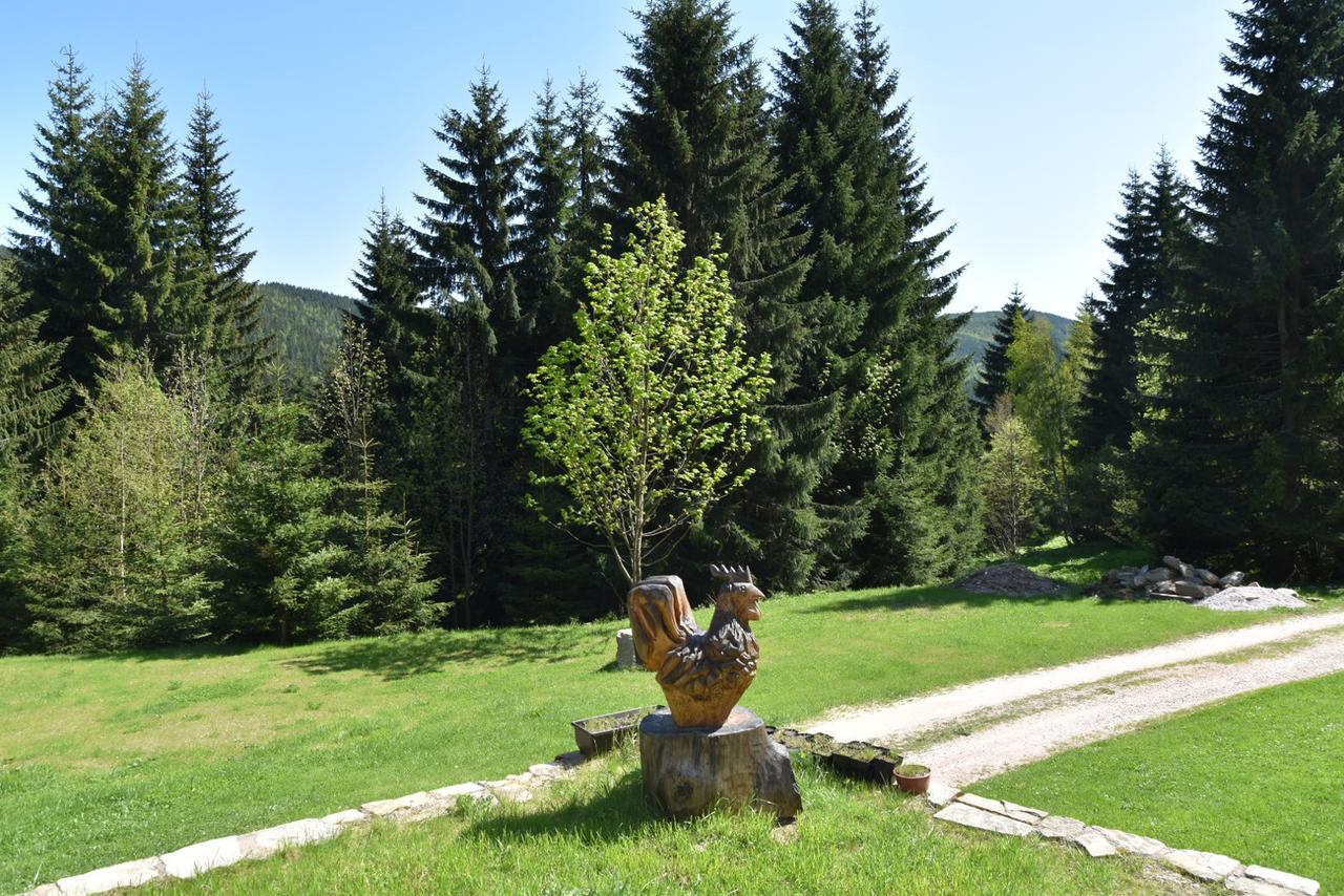 Horska Bouda U Kokrhace Hotel Dolni Mala Upa Exterior photo